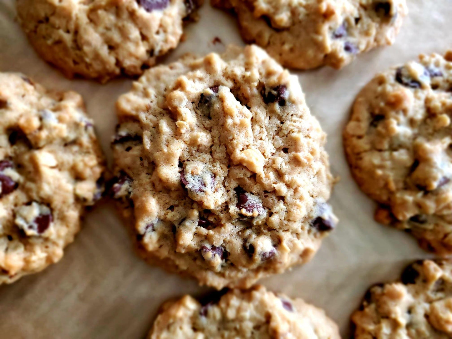 Chocolate Chip Oatemal Cookies